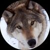 everest_wolf96